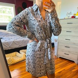 Express long sleeve dress